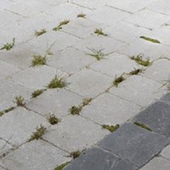 klinkers opvoegen ? met biozand = onkruidwerend